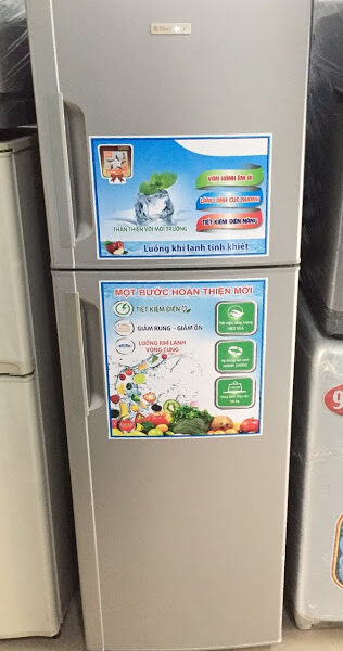 Tủ Lạnh cũ Electrolux ETB2600PA-RVN (260L)